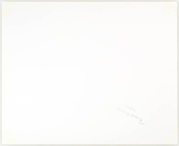 Meta Photographs (Signed Limited Edition with Print).
