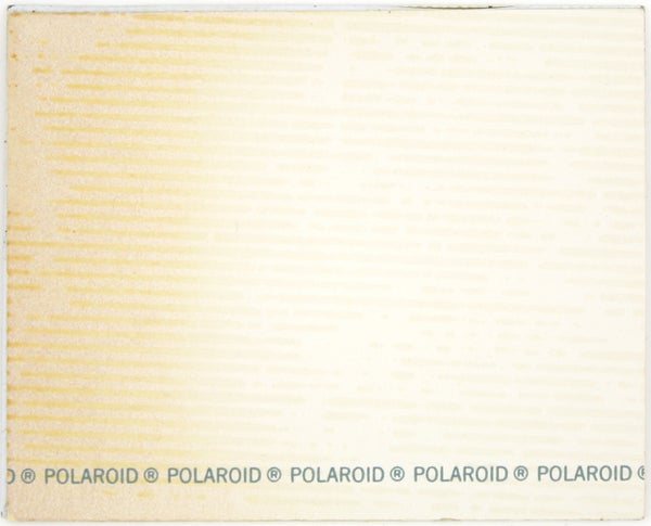 Archive of Polaroids from the Vietnam War.