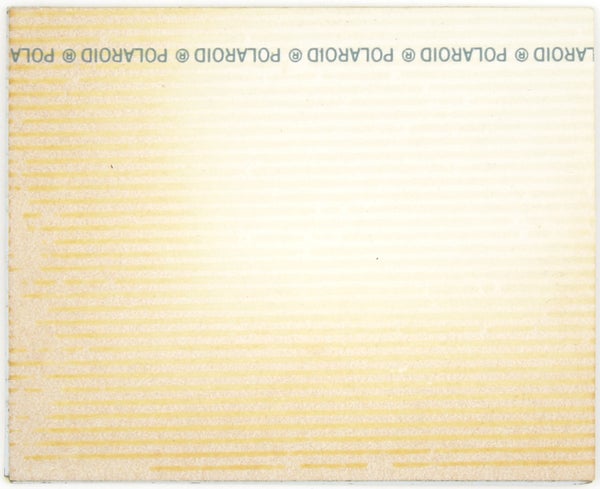 Archive of Polaroids from the Vietnam War.