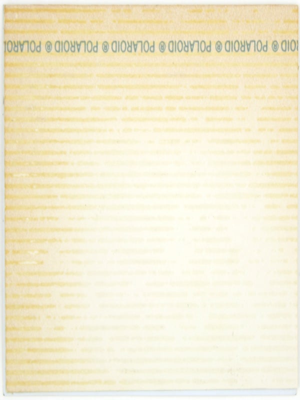 Archive of Polaroids from the Vietnam War.
