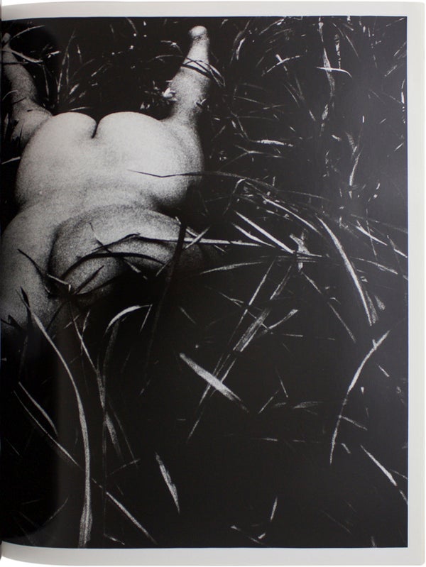 Fragments: Representation of Moriyama Daido 1964 - 1998.