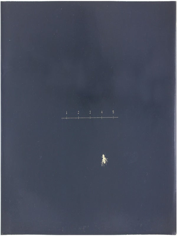 Item #22515 Fire Flies: As Transmitted by William Larson (Signed First Edition). William Larson