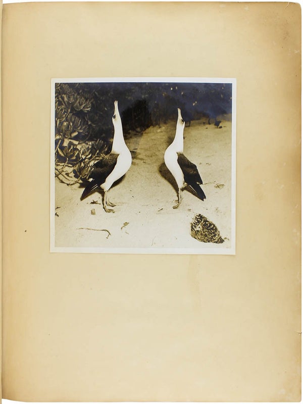 Naturalist Photo Album.