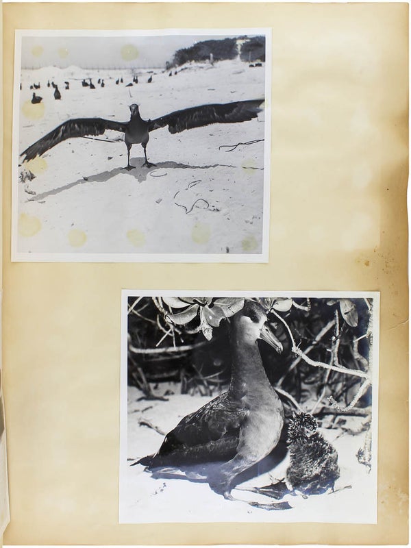 Naturalist Photo Album.