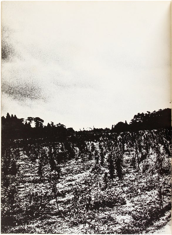 Sanrizuka 1969–1971.