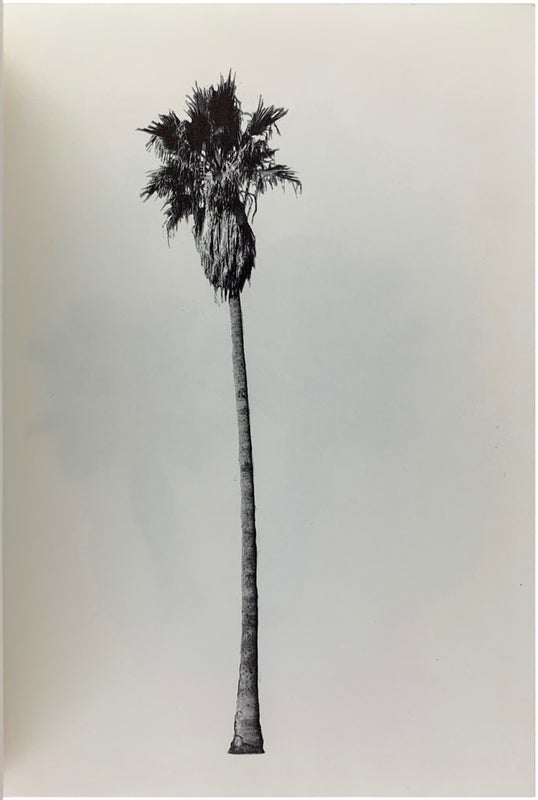 A Few Palm Trees (Signed Association Copy).