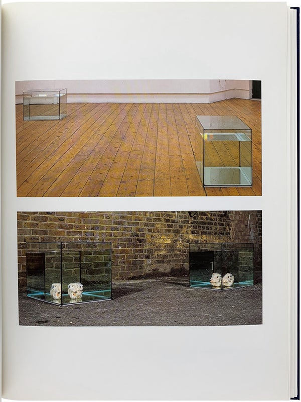Damien Hirst (Signed Limited Edition).