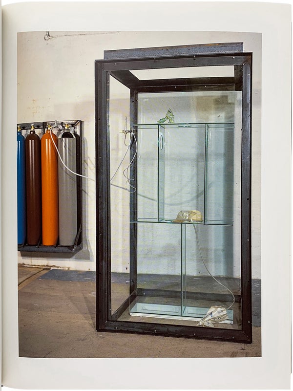 Damien Hirst (Signed Limited Edition).