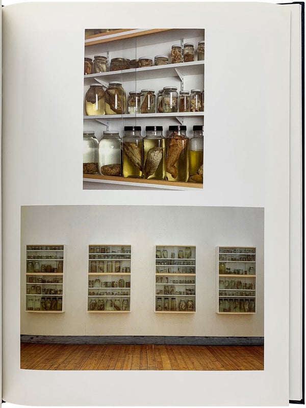 Damien Hirst (Signed Limited Edition).