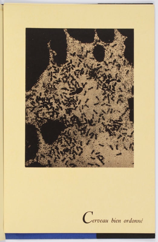 La photographie n'est pas l'Art: 12 Photographies (Signed).