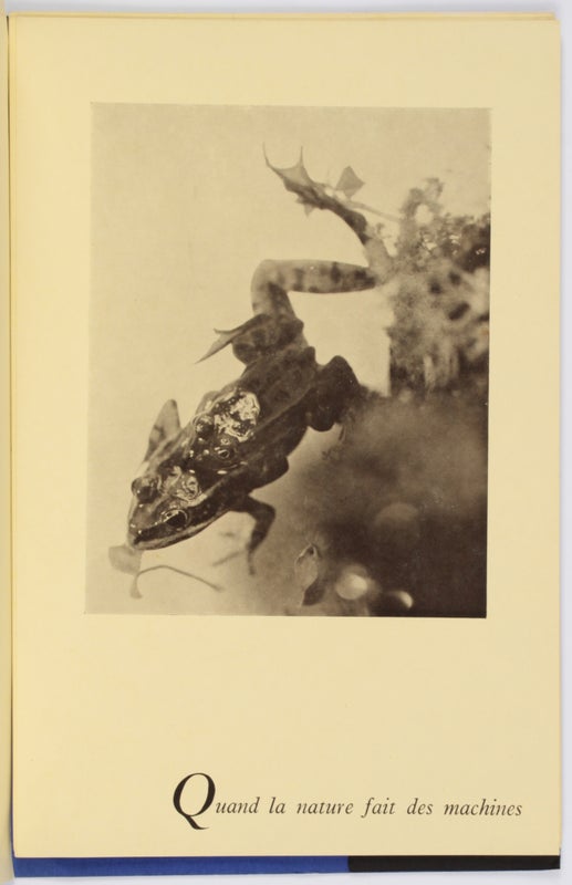 La photographie n'est pas l'Art: 12 Photographies (Signed).