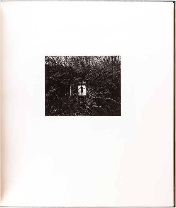 Photographs (Signed Limited Edition).