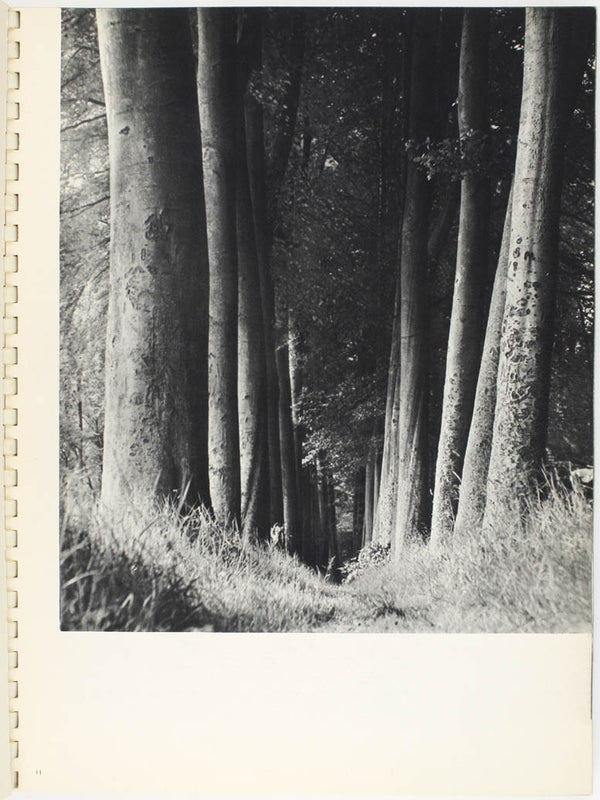 Man Ray: Photographies, 1920–1934 Paris.