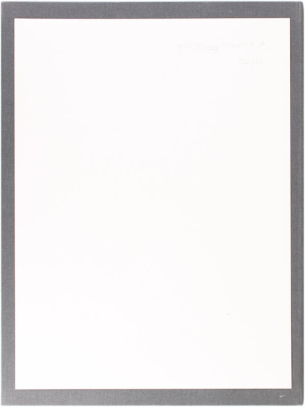 American Surveillance (Signed Limited Edition).