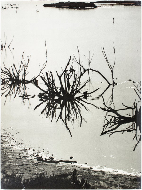 Camargue Secrète (Signed First Edition).