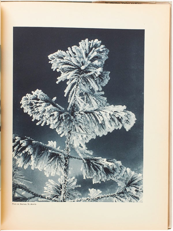 Schönheit des Eislaufs.