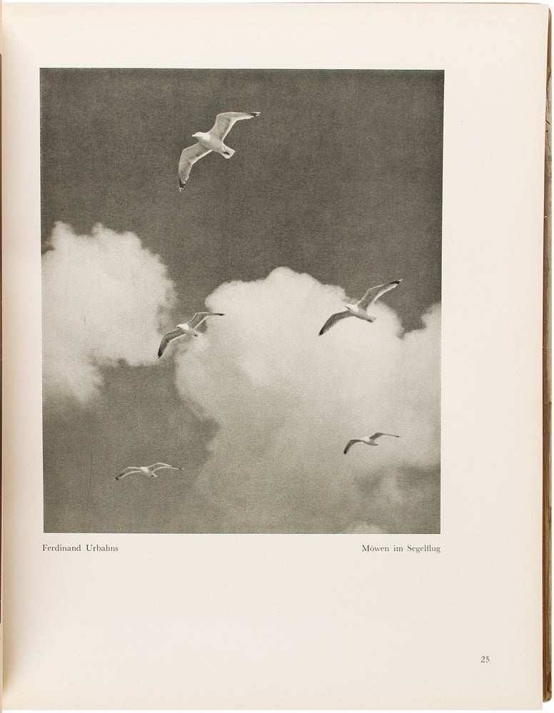 Das Deutsche Lichtbild 1937 | Bruno Schultz, Publisher