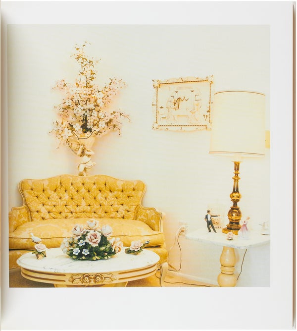 Sun City, Arizona (Signed Deluxe Edition with Print).