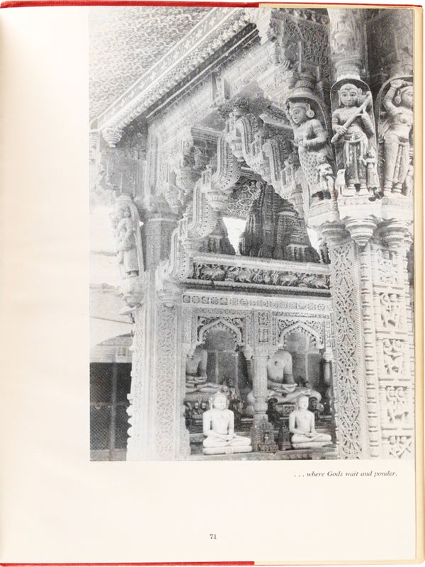 Beautiful Jaipur (Advance Review Copy).