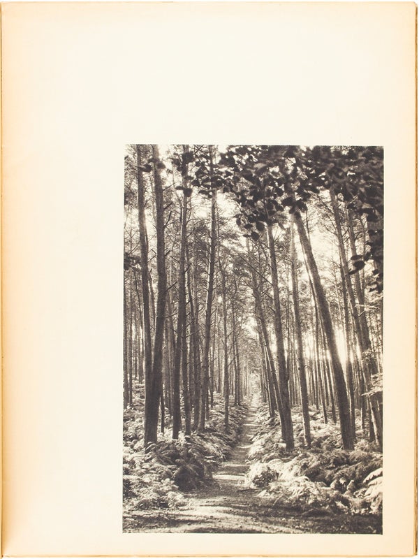 Le Valois.