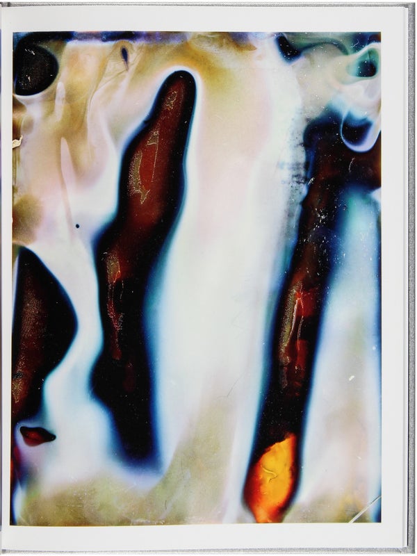 Daisuke Yokota: Color Photographs (Signed First Edition).