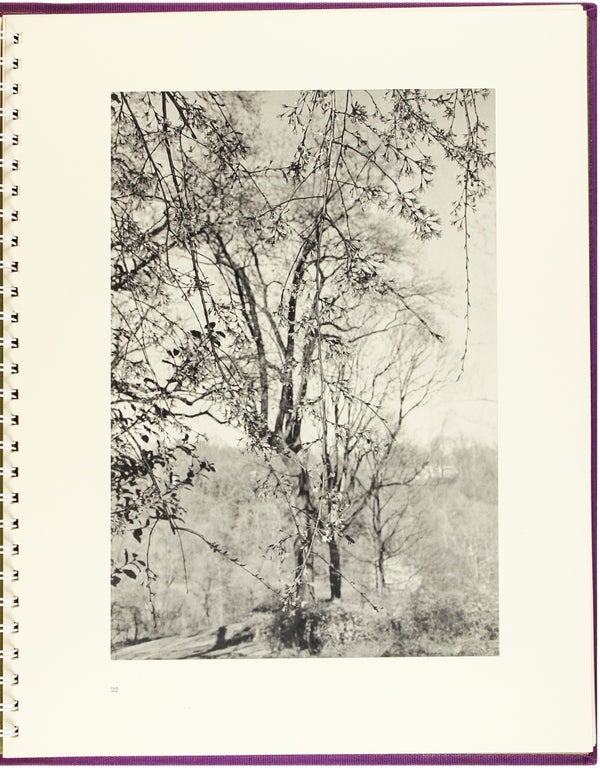 Flowers and Trees (Signed First Edition).