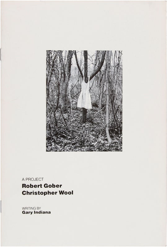 A Project: Robert Gober and Christopher Wool