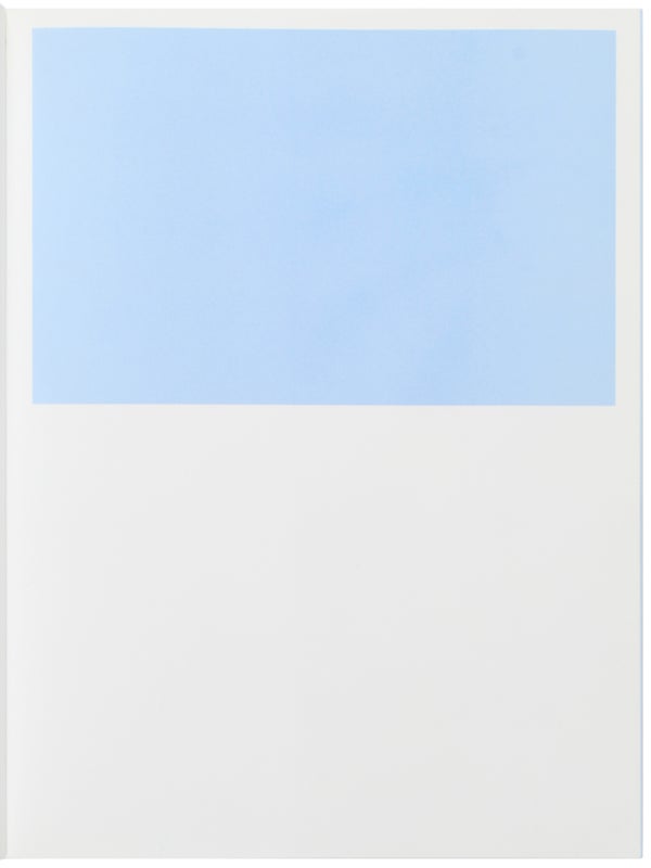 Prince Eagle: An Artist's Book by Elizabeth Peyton (Deluxe Edition).