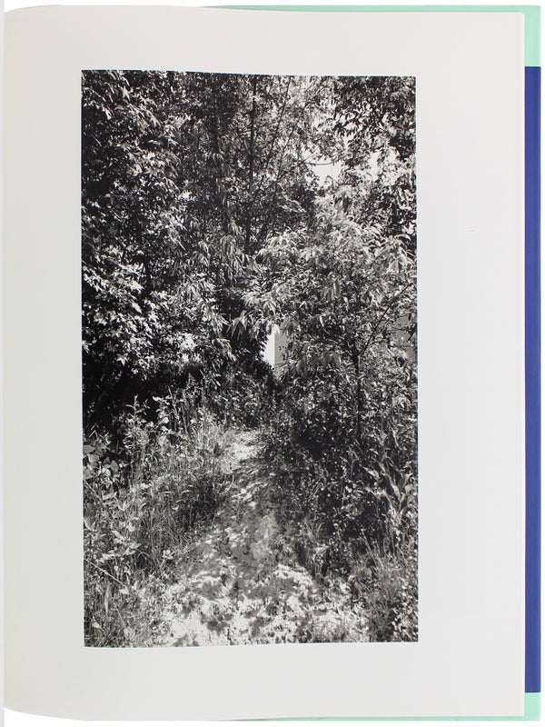 The Pond (Signed).