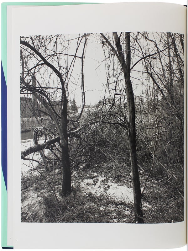 The Pond (Signed).