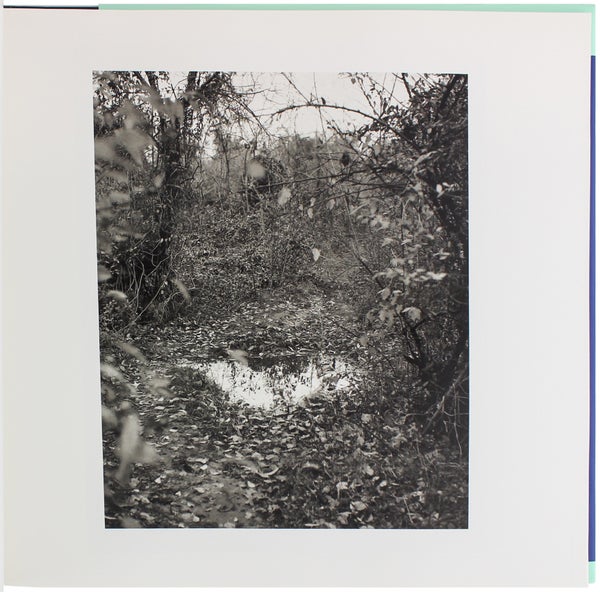 The Pond (Signed).