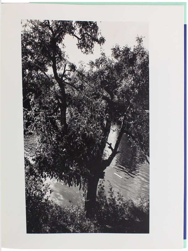 The Pond (Signed).