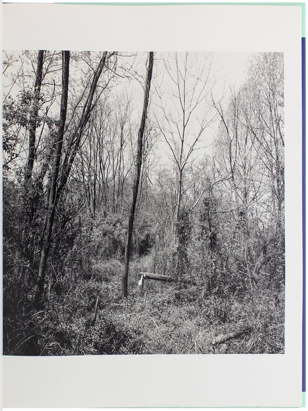 The Pond (Signed).