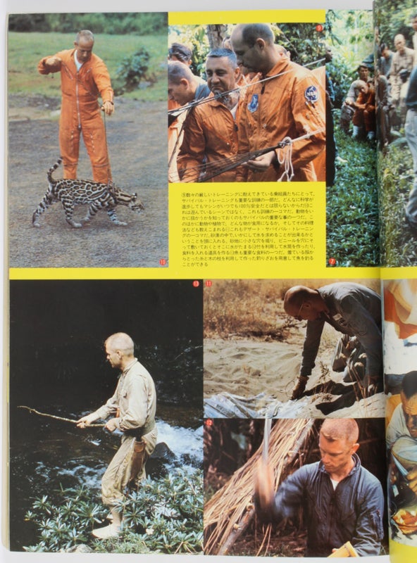 Wild Mook (Complete Set of 60 Issues).