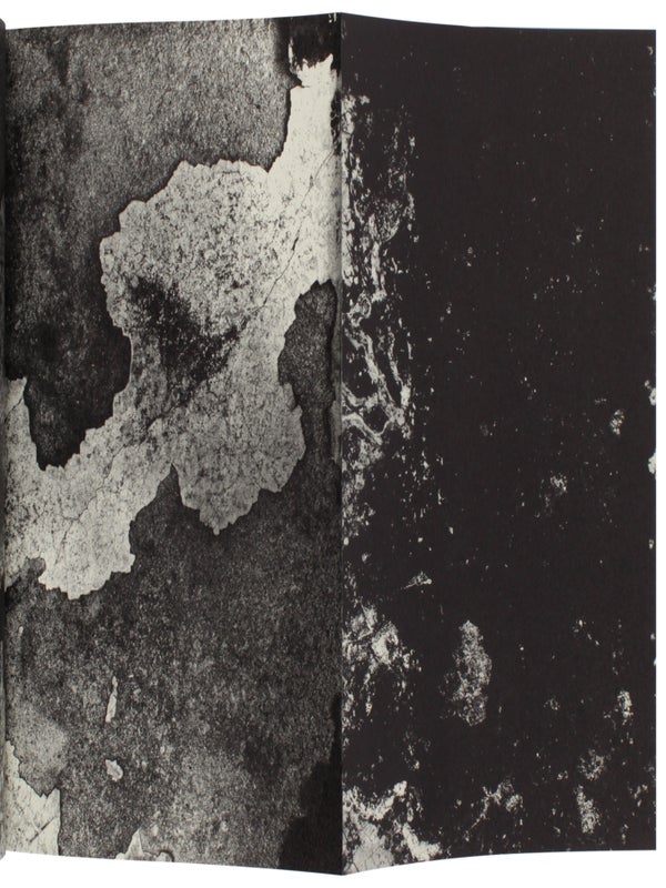 The Map (Signed Limited Edition).