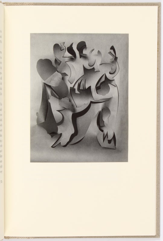 The Constellations That Surround Us: The Conjunction of General Aesthetics and Poetic Logic in an Artist's Life.