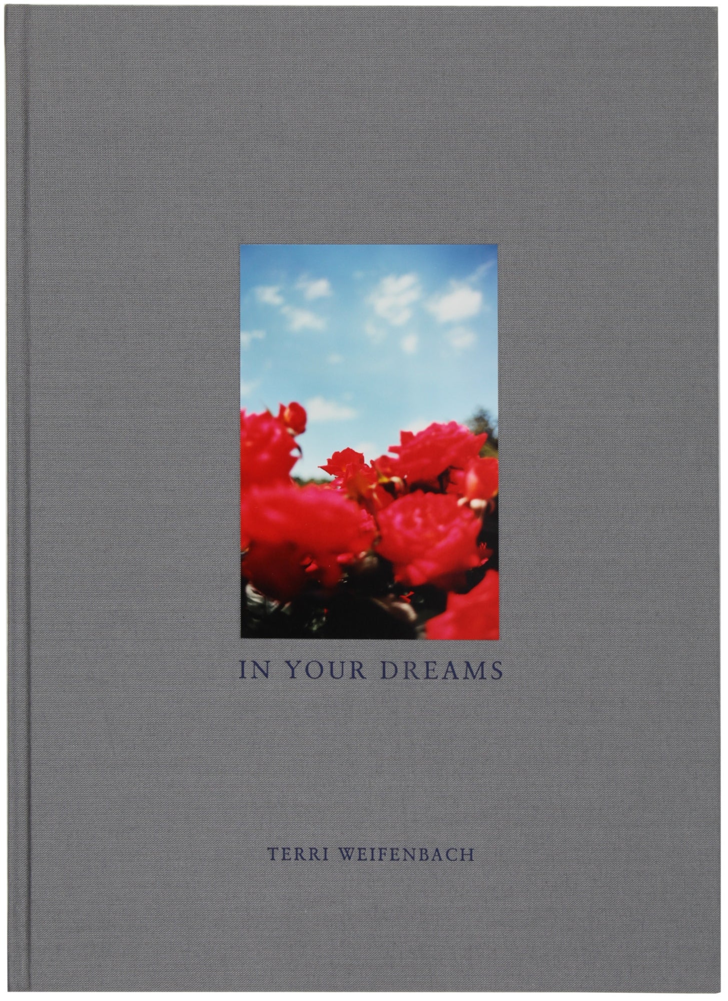 In Your Dreams by Terri Weifenbach on Harper's