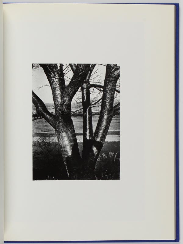 Daido Moriyama: Auto-Portrait (Signed).