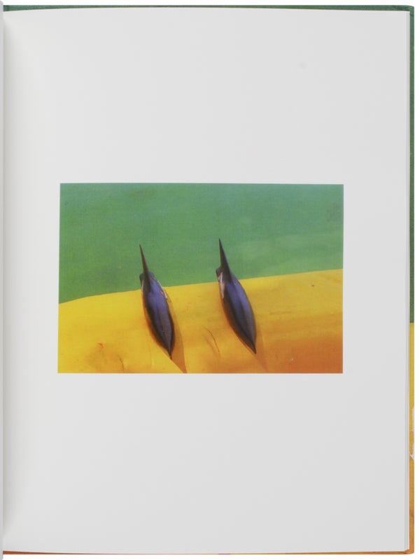 16 Pictures (Special Edition, Extra Illustrated).