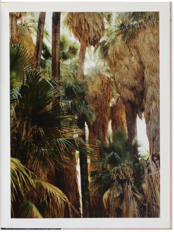 Lago (Signed).