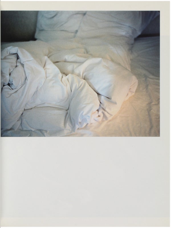 Landscapes: The Takashi Homma Purple Book (Signed).