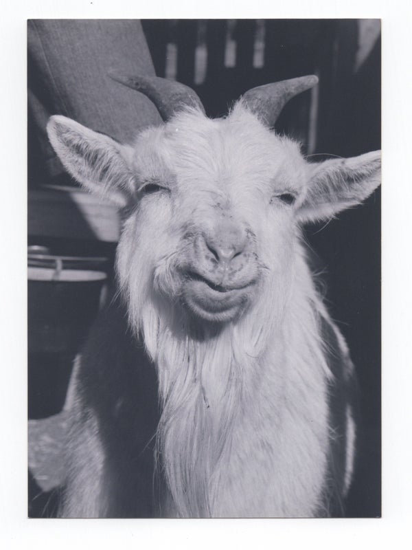 [Small Archive of Photographs from Hanne Darboven's Assistant].