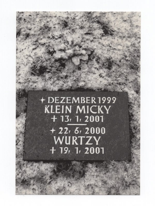 [Small Archive of Photographs from Hanne Darboven's Assistant].