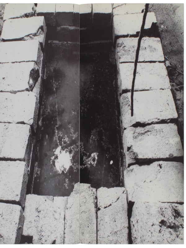 Anselm Kiefer: B&uuml;cher und Gouachen / Nothung ein Schwert verhie&szlig; mir der Vater (Two Volumes).