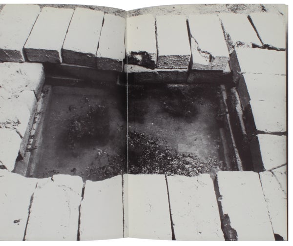 Anselm Kiefer: Bücher und Gouachen / Nothung ein Schwert verhieß mir der Vater (Two Volumes).