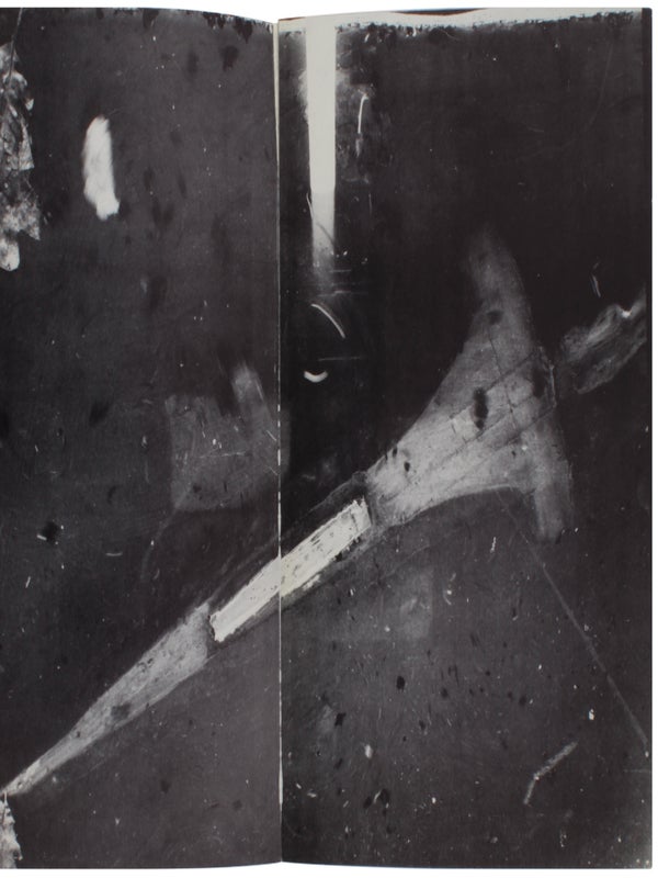 Anselm Kiefer: B&uuml;cher und Gouachen / Nothung ein Schwert verhie&szlig; mir der Vater (Two Volumes).