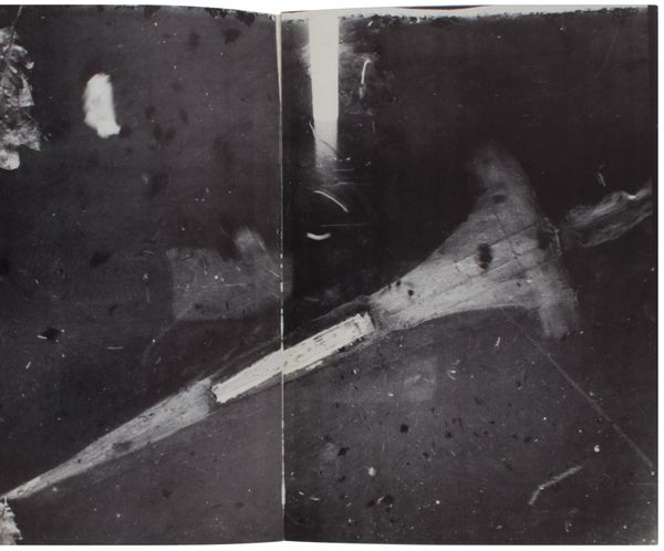 Anselm Kiefer: Bücher und Gouachen / Nothung ein Schwert verhieß mir der Vater (Two Volumes).