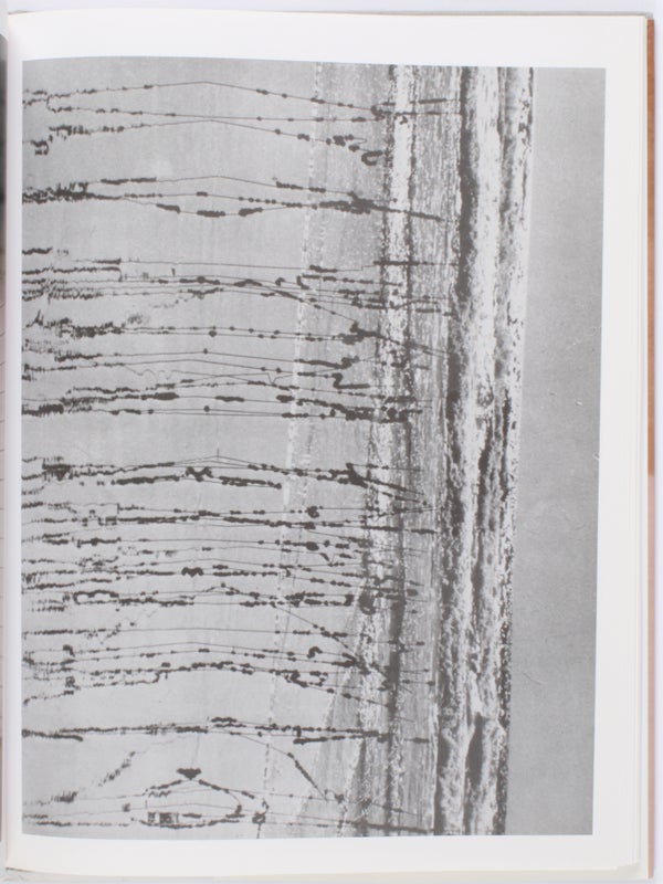 David Hammons is On Our Mind.