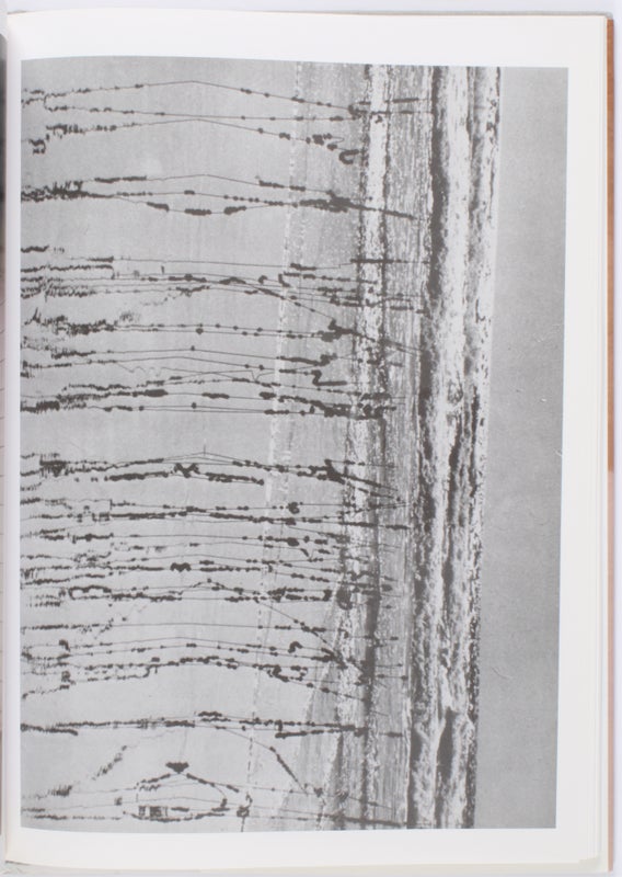David Hammons is On Our Mind.