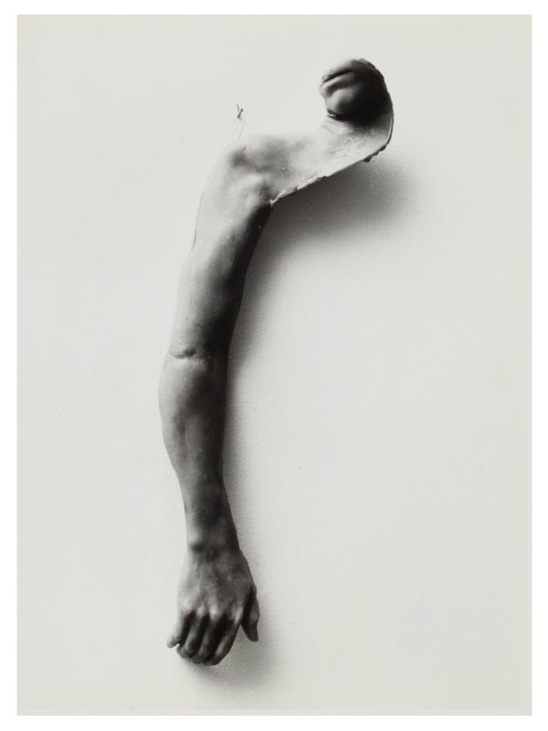 From Hand to Mouth (Gallery Photograph